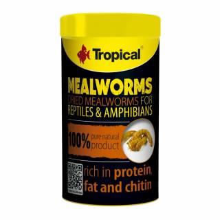 TROPICAL MEAL WORMS 250ML - suszone larwy mącznika dla gadów